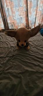 Knuffel chiwawa hond, Ophalen, Zo goed als nieuw, Hond