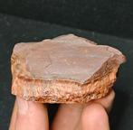 Prachtige ruwe Haviksoog met bronzen Flash edelsteen, Verzamelen, Mineralen en Fossielen, Ophalen of Verzenden