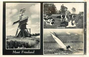 (377-641-031) Mooi Friesland beschikbaar voor biedingen