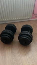 2x dumbels, Gebruikt, Ophalen of Verzenden