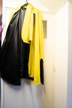 Carnavalskleding, Ophalen, Gedragen, Carnaval, Kleding