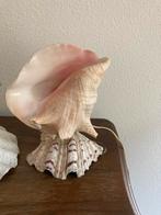 Schelp lamp, Huis en Inrichting, Ophalen of Verzenden