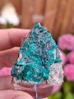 Dioptaas uit Namibië, Verzamelen, Mineralen en Fossielen, Ophalen of Verzenden