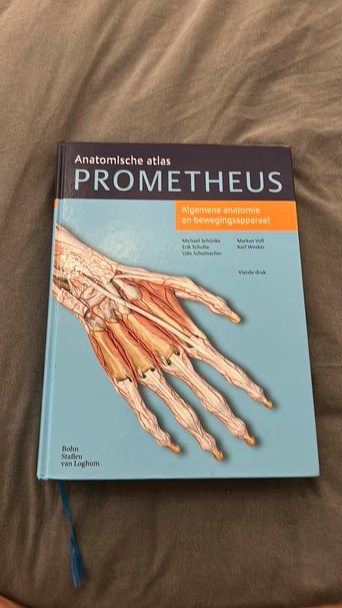 Erik Schulte - Algemene anatomie en bewegingsapparaat, Boeken, Wetenschap, Zo goed als nieuw, Ophalen