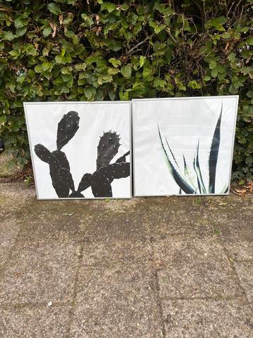 Fotolijsten beschikbaar voor biedingen