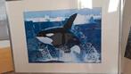 Orka poster, ingelijst.. Lijst lengte 1.02. Breedte 72 cm, Ophalen