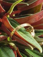 Pracht 18 karaats semi klassieke dames ring met echte parel., ., Ophalen of Verzenden, Zo goed als nieuw, Dame