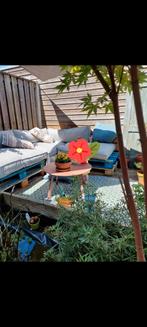 Palletbank loungebank incl kussenset, Ophalen of Verzenden, Zo goed als nieuw, Hout, 2 zitplaatsen
