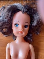 Sindy vintage doll jaren 70, Verzamelen, Poppen, Ophalen of Verzenden, Gebruikt, Pop