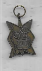 SINTERKLAAS GERELATEERDE MEDAILLE, Ophalen of Verzenden, Overige materialen, Nederland