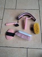 Te koop: Leuk roze borstelsetje voor pony/paard, Dieren en Toebehoren, Ophalen of Verzenden, Gebruikt