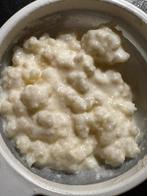 50 gram Verse melkKefir korrels, Diversen, Levensmiddelen, Ophalen of Verzenden