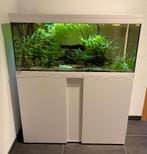 Compleet Eheim Aquarium Vivaline 180 liter, pomp, licht,..., Ophalen, Zo goed als nieuw, Gevuld zoetwateraquarium