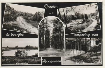 HOOGEVEEN Bos Heide Meeuwenplas Duin Groeten 1958 beschikbaar voor biedingen