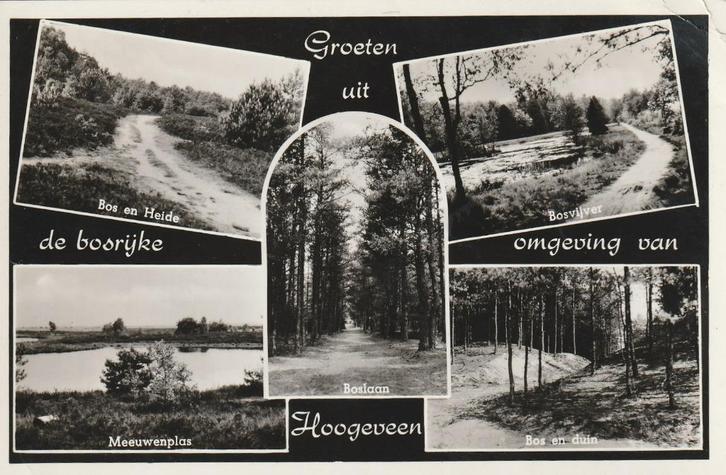 HOOGEVEEN Bos Heide Meeuwenplas Duin Groeten 1958, Verzamelen, Ansichtkaarten | Nederland, Gelopen, Drenthe, 1940 tot 1960, Verzenden