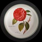 Heinrich Villeroy en boch, camelia, winter kwf wandbord, Ophalen of Verzenden, Nieuw