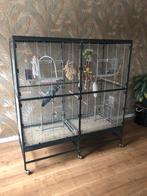 Papagaai/ vogelkooi, Ophalen, Zo goed als nieuw, Metaal, Vogelkooi