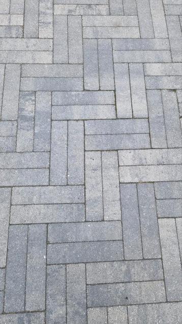 Waaltjes beschikbaar voor biedingen