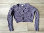 vest vestje crop kort paars Zara M 38, Maat 38/40 (M), Zara, Paars, Ophalen of Verzenden