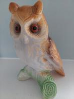 Grote Uil op tak, Ophalen of Verzenden