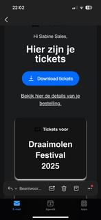 Weekend ticket draaimolen 2025, Tickets en Kaartjes, Eén persoon