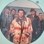 Marillion - Dry Land 12" picturedisc, Ophalen of Verzenden, Zo goed als nieuw, 12 inch, Progressive