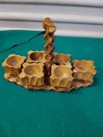 Eierdoppen 6 stuks van hout in houten houder, Verzamelen, Ophalen of Verzenden