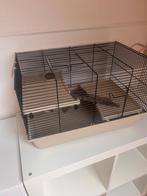 Hamsterkooi, Dieren en Toebehoren, Kooi, Minder dan 75 cm, Zo goed als nieuw, Hamster