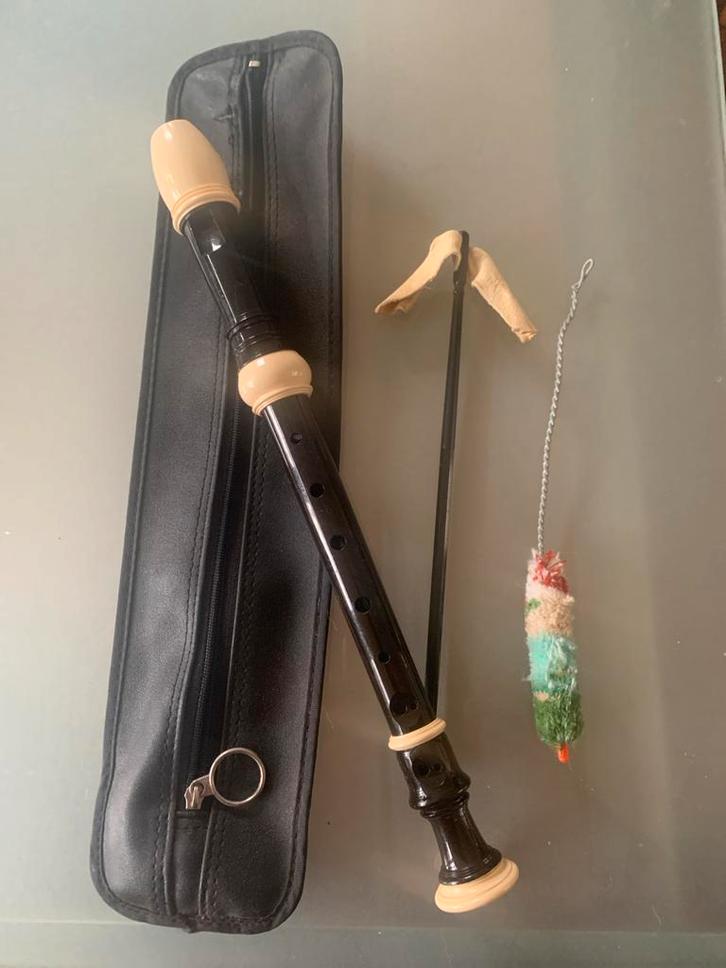 Blokfluit met etui, Muziek en Instrumenten, Blaasinstrumenten | Blokfluiten, Gebruikt, Sopraan of Sopranino, Met koffer, hoes of etui