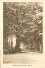 701123003 Assen Laan in het Stadsbosch, Verzenden, Voor 1920, Drenthe