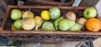 Diverse decoratie groentes en fruit, Ophalen, Nieuw, Binnen