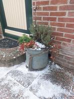 Ouderwetse zinken plantenbak met planten, Tuin en Terras, Bloempotten, Ophalen