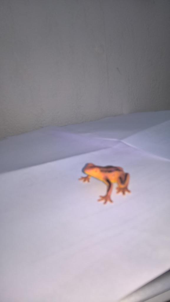 Kikker 1, dierfiguur, geen Schleich, Verzamelen, Dierenverzamelingen, Gebruikt, Beeldje of Figuurtje, Reptiel of Amfibie, Ophalen of Verzenden