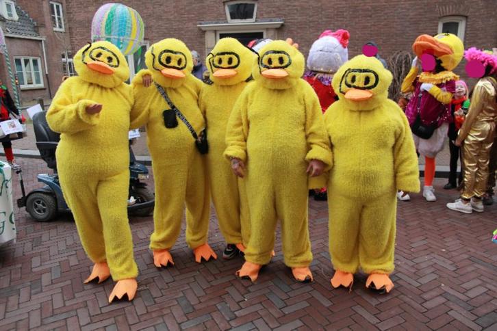 Loopgroep 5eenden pakken, Kleding | Dames, Carnavalskleding en Feestkleding, Zo goed als nieuw, Carnaval, Ophalen of Verzenden