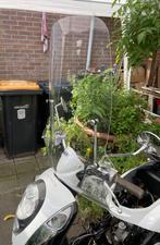 Sym scooter, Gebruikt, Benzine, 50 cc, Ophalen