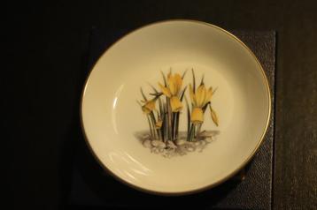 Royal Worcester snuiterijen bordje beschikbaar voor biedingen