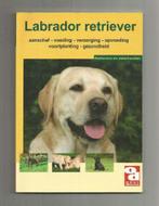 Labrador Retriever, Ophalen of Verzenden, Zo goed als nieuw, Honden
