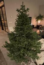 Kunstkerstboom intratuin, Ophalen, Gebruikt, Binnen