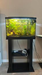 Leeg superfish aquarium 60 l, Dieren en Toebehoren, Vissen | Aquaria en Toebehoren, Ophalen of Verzenden, Zo goed als nieuw, Leeg aquarium
