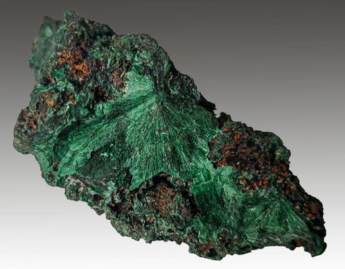 **TOP** Fluweel MALACHIET uit Katanga, D.R.Congo, Verzamelen, Mineralen en Fossielen, Mineraal, Ophalen of Verzenden