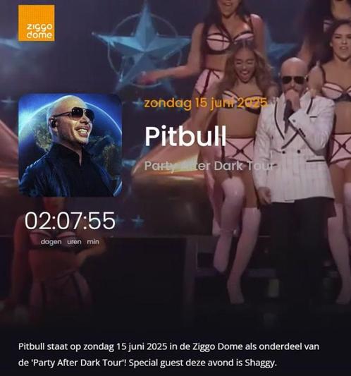 ✅ Pitbull Party After Dark tickets Ziggo Dome 15.06.25 ✅, Tickets en Kaartjes, Concerten | Pop, Eén persoon, Juni