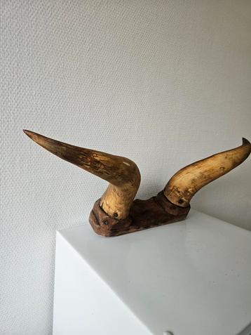 Stierenhoorns bullbar beschikbaar voor biedingen