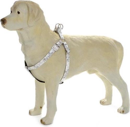 Halsband / BorstTuig / looplijn wit Middelgrote hond, Dieren en Toebehoren, Hondenriemen, Gebruikt, Ophalen of Verzenden