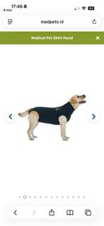 Medical pet shirt maat l, Ophalen, Zo goed als nieuw