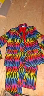 Carnavalspak Zebra Regenboog Maat M, Kleding | Heren, Carnavalskleding en Feestkleding, Ophalen, Carnaval, Maat 48/50 (M), Zo goed als nieuw
