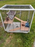 Hamster / cavia kooi, Dieren en Toebehoren, Knaagdieren en Konijnen | Hokken en Kooien, Kooi, Zo goed als nieuw, Hamster, 75 tot 110 cm