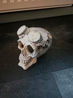 Aquarium Decoratie - Doodshoofd met Bril, Dieren en Toebehoren, Ophalen of Verzenden, Gebruikt, Overige typen