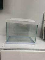 Aquarium, Dieren en Toebehoren, Vissen | Aquaria en Toebehoren, Ophalen of Verzenden, Zo goed als nieuw