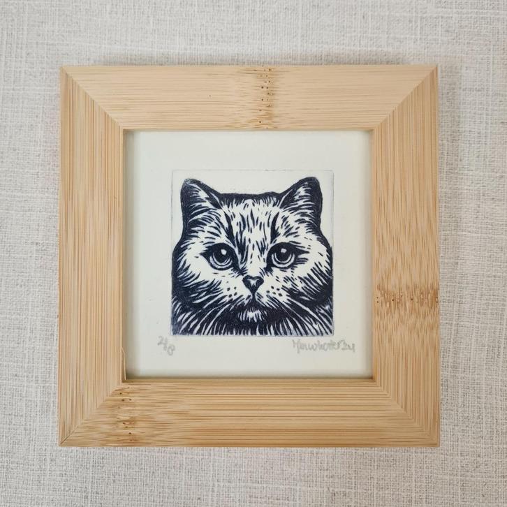 Ets kat in lijst 10x10 cm, Huis en Inrichting, Woonaccessoires | Schilderijen, Tekeningen en Foto's, Nieuw, Print, Minder dan 50 cm
