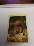 HOLTEN. OV.    EEKHOORN. 1992, Ophalen of Verzenden, 1980 tot heden, Overijssel